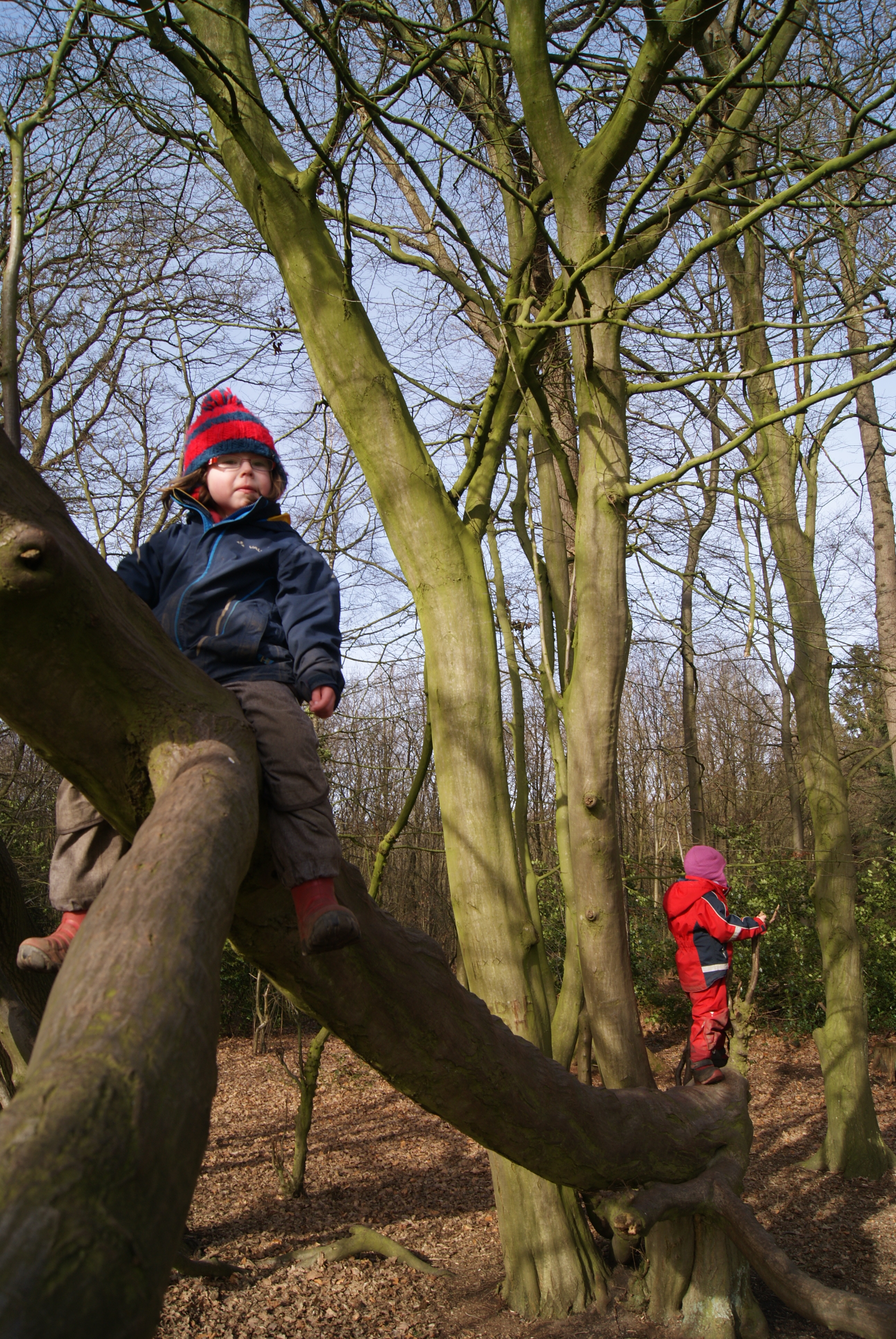 Beim Klettern geht es hoch in die Lüfte.