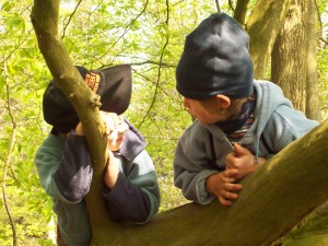 Auch auf den Bäumen kann man träumen.