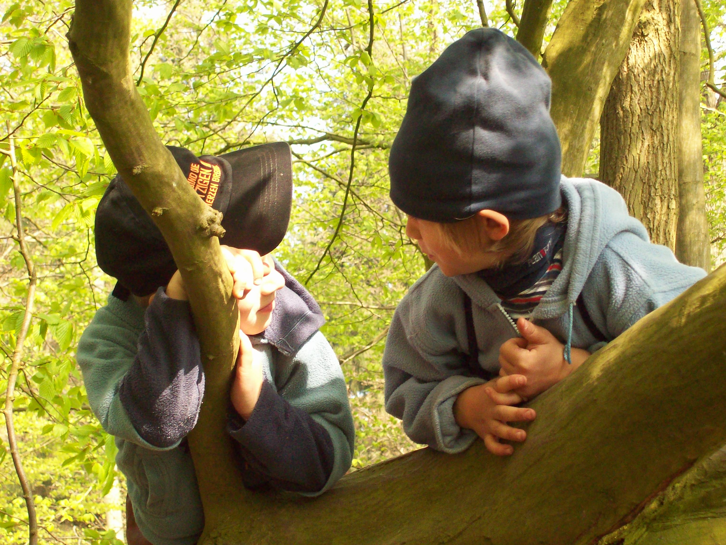 Auch auf den Bäumen kann man träumen.