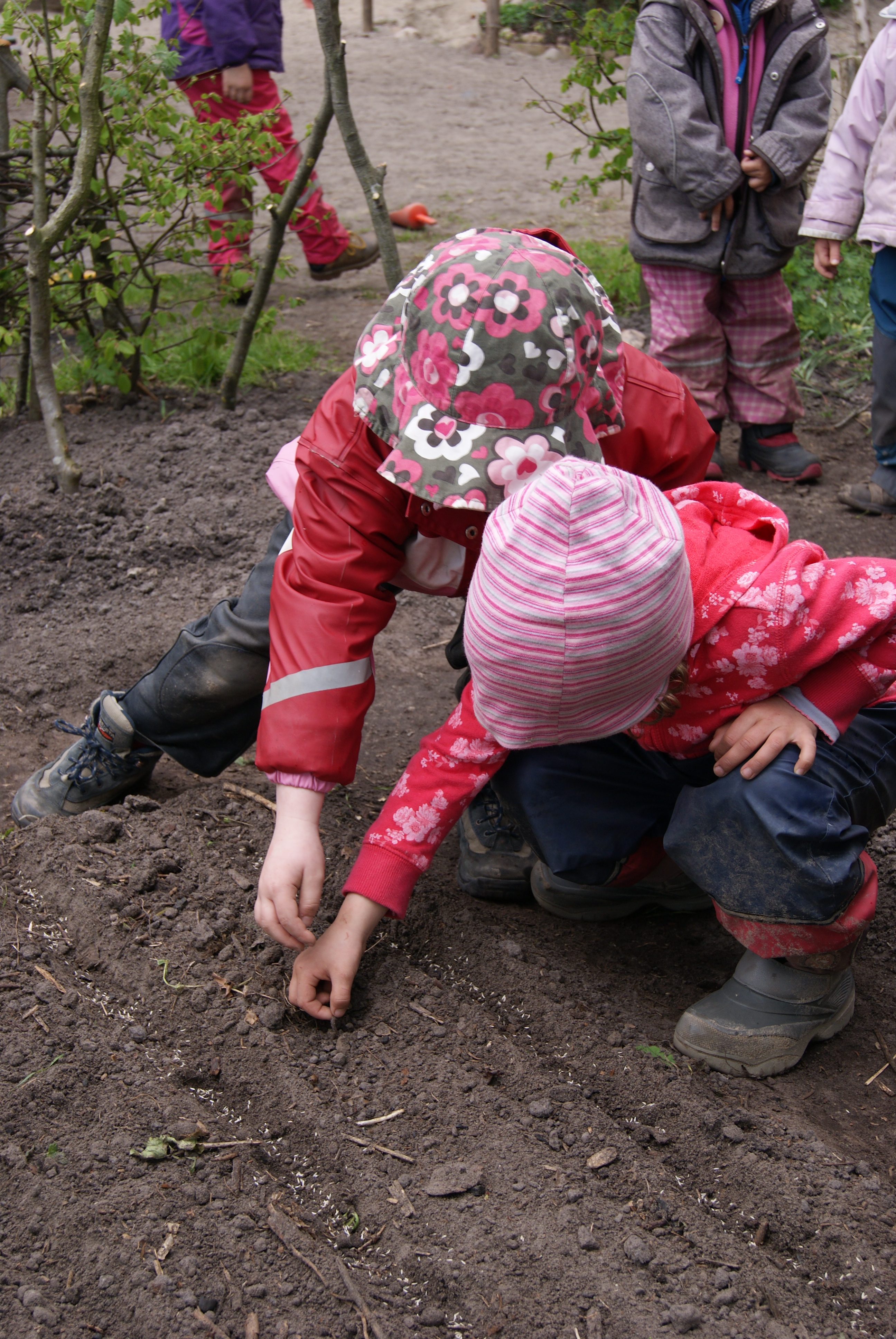 Wer nicht umgräbt, sät und gießt, wird später auch nicht ernten können.