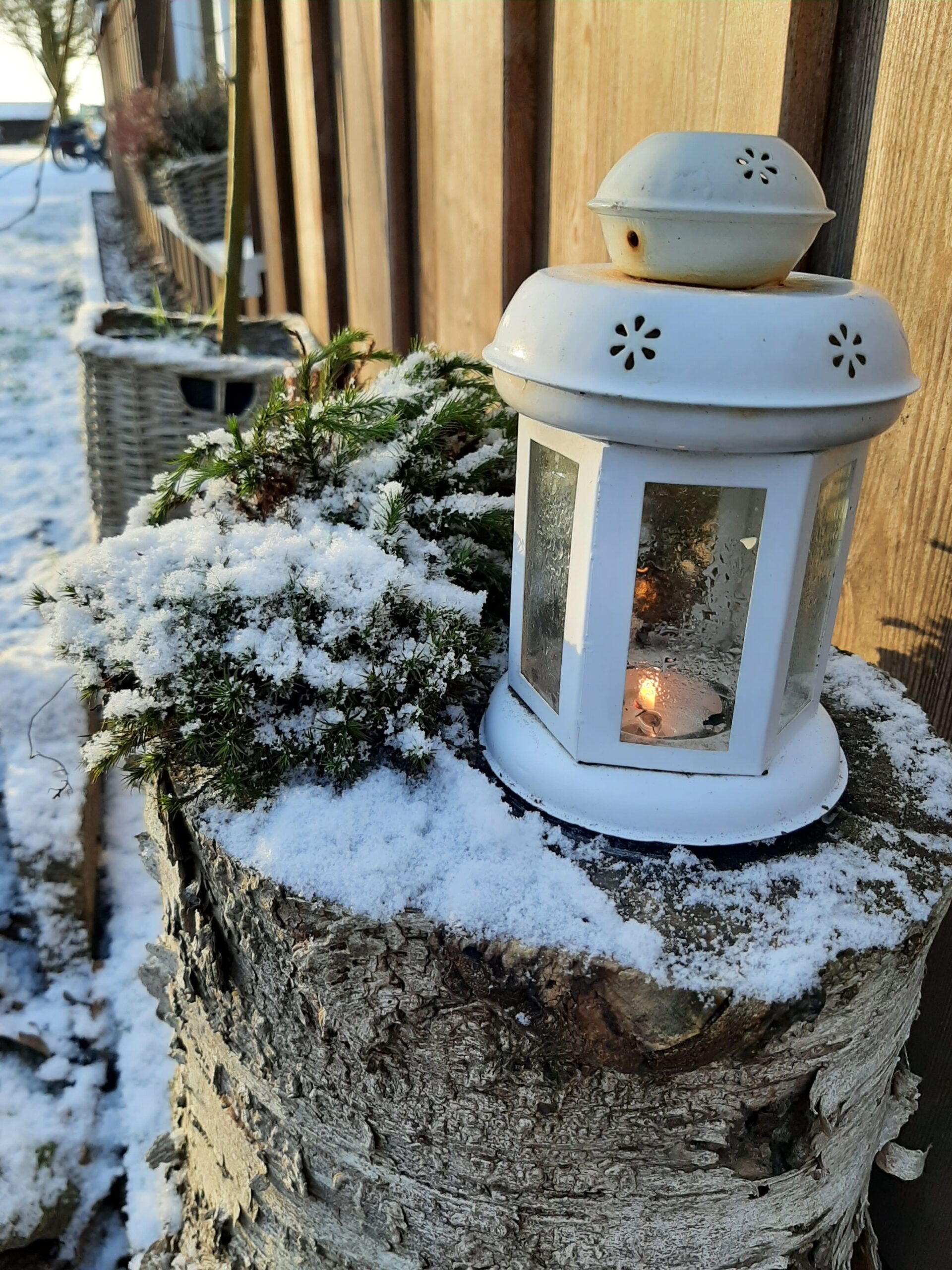 Weihnachtszeit im Waldkindergarten